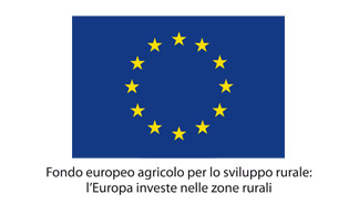 Fondo Europeo Agricolo per lo Sviluppo Rurale: L’Europa investe nelle zone rurali